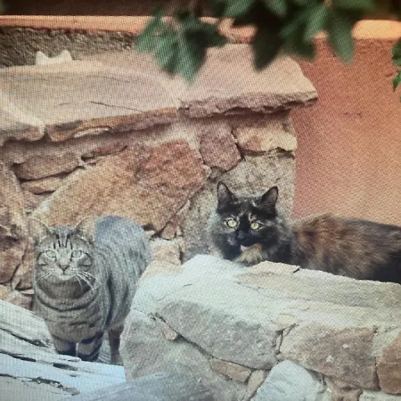 Le Spot Villa